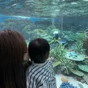 みきたその画像