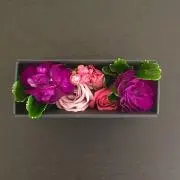 Hanakoの画像