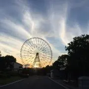 TanuQuoの画像