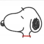 甘夏の画像