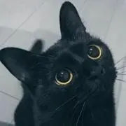 おにょにょ。