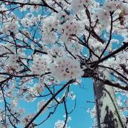 しぃ☆プロフ必読願います！