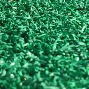 m.s