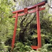 空手家の画像