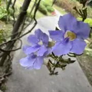 Rei⭐︎即日又は翌日発送⭐︎の画像
