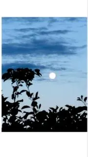 2525gardenの画像