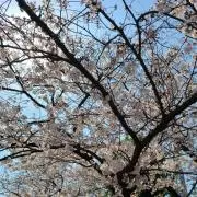 ◎まるちゃん◎