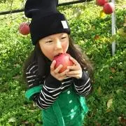 ★aoi★
