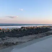 すみた