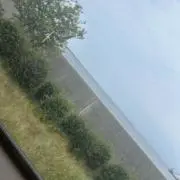 トマトちゃんの画像