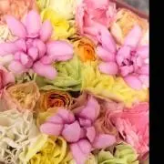⭐️KROOM⭐️の画像