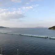 まゆーの画像