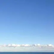 ノンタック