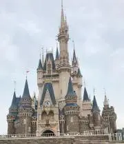 みっきー・ちゃっくの画像