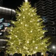 mihoの画像