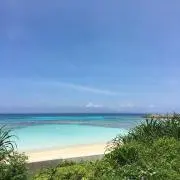yasu☆の画像