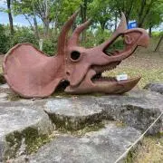 タロの画像