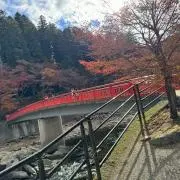 @ドンカツオ
