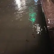 しゅうへい