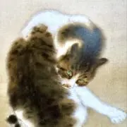猫ママ