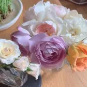 あーちゃんの画像
