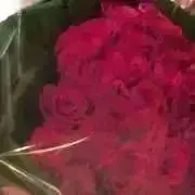 HACCIの画像