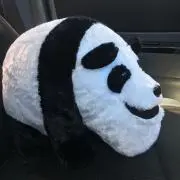 zepichiの画像