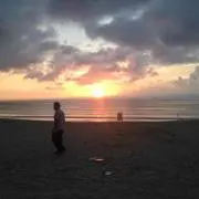 そげきんぐの画像
