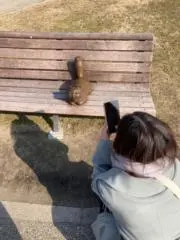 るか