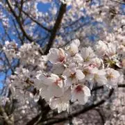 ☆かーみん☆の画像