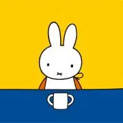 miffy✴︎の画像