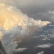 メロンパンの画像