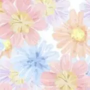 ⭐️プロフ一読お願いします⭐️の画像