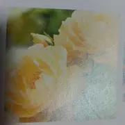 ひろオマケ記事ありは申出フォロワー様だけの画像