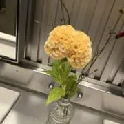 ムー民