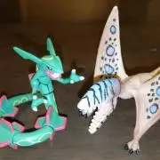 ディモルの画像