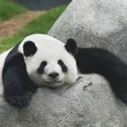 M.H