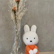 きょうこの画像