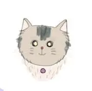 ちゃこぱんの画像
