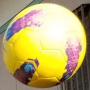 Meyの画像