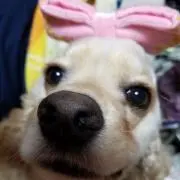 エルちゃん