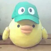 きいろいとり