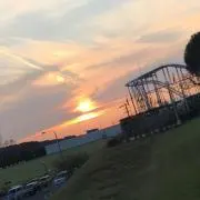 ぺじゅの画像