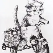 きーこの画像