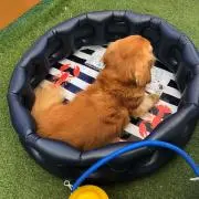 くう
