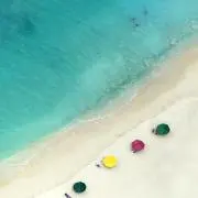まーの画像