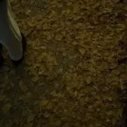 xxxの画像