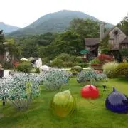 Nanaの画像