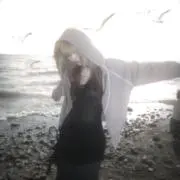 きむちの画像