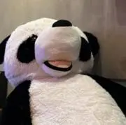 ツナの画像